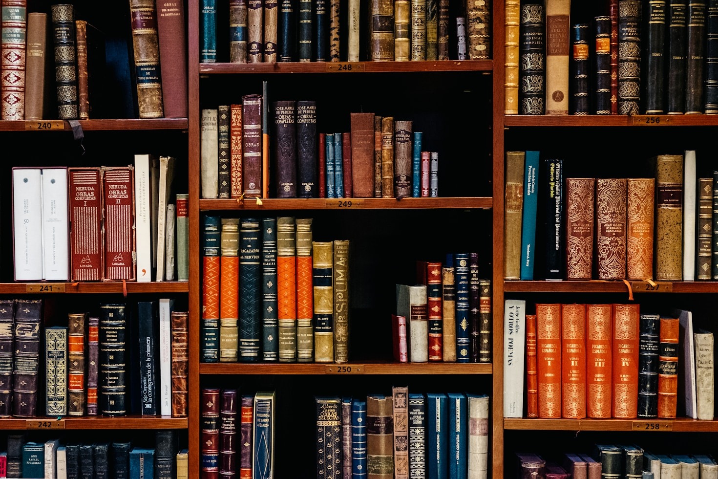 Overcoming Challenges in Homeschooling Abroad